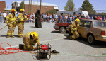 t-01-dz-12.gif