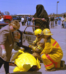 t-01-dz-33.gif