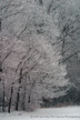 t-03-acz-009.gif
