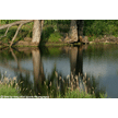 t-04-do-005.gif