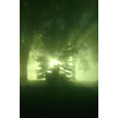 t-05-gc-003.gif