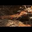 t-08-hx-004.gif