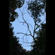 t-08-hx-040.gif