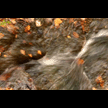 t-08-hx-078.gif