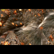 t-08-hx-081.gif