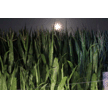 t-14-ej-062.gif