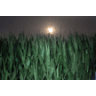 t-14-ej-065.gif