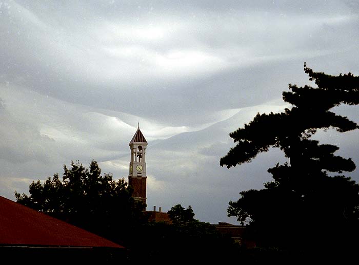 m-00-dy-08.jpg