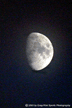 t-03-flz-068.gif
