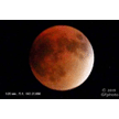 t-15-ga-065.gif