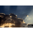 t-17-fv-029.gif