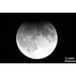t-24-dp-028.gif