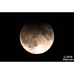 t-24-dp-031.gif