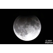 t-24-dp-033.gif