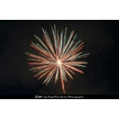 t-11-dz-007.gif