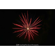 t-11-dz-008.gif