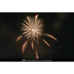 t-11-dz-012.gif