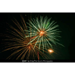 t-11-dz-057.gif