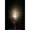 t-11-dz-074.gif