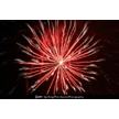 t-11-dz-078.gif