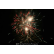 t-11-dz-113.gif