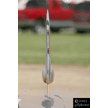 t-11-ec-116.gif