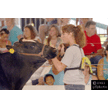 t-11-ee-017.gif