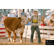 t-11-ee-036.gif