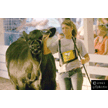 t-11-ee-040.gif