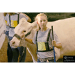 t-11-ee-041.gif