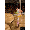 t-12-dy-063.gif