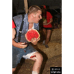 t-12-dy-074.gif