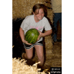 t-12-dy-079.gif