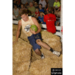 t-12-dy-090.gif