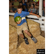 t-12-dy-092.gif