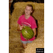 t-12-dy-096.gif
