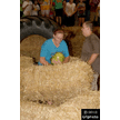 t-12-dy-098.gif
