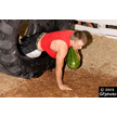 t-13-eg-126.gif
