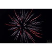 t-13-ed-110.gif
