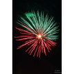 t-13-ed-113.gif