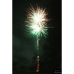 t-13-ed-116.gif