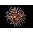 t-13-ed-120.gif