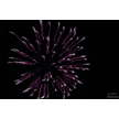 t-13-ed-127.gif