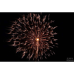 t-13-ed-137.gif