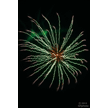 t-13-ed-139.gif