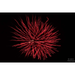 t-13-ed-162.gif