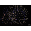 t-13-ed-178.gif