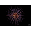 t-13-ed-184.gif