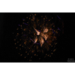 t-13-ed-186.gif
