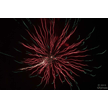 t-13-ed-192.gif